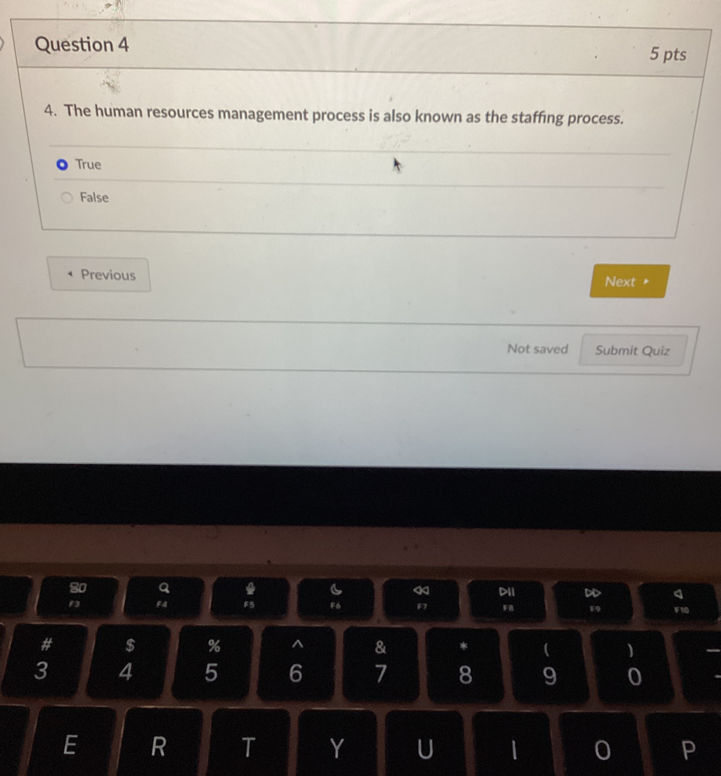  Question 4 5 pts 4. The human resources management process is