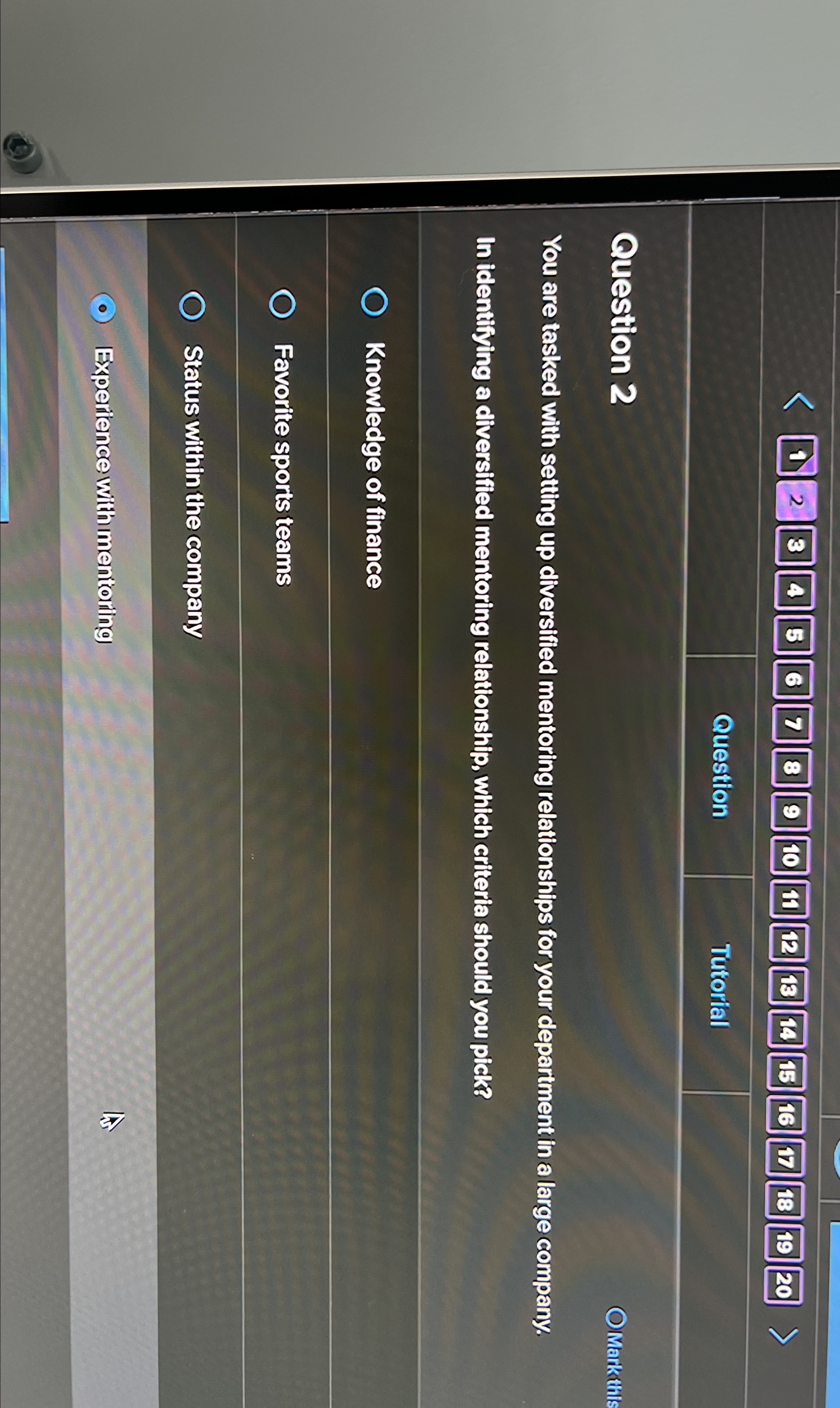  Question 2 Tutorial You are tasked with setting up diversfifed mentoring