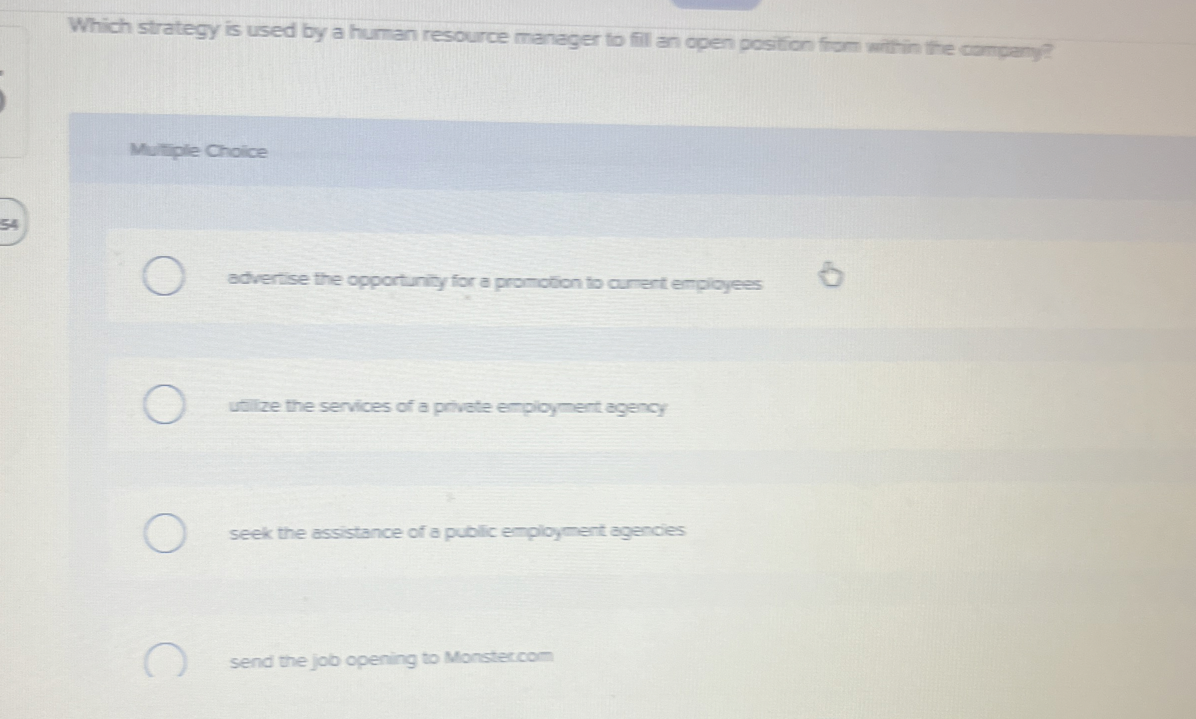  Which strategy is used by a human resource manager to fill