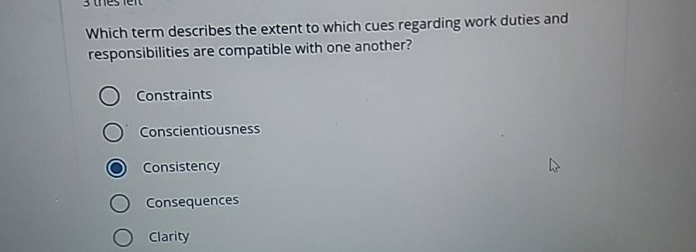 Which term describes the extent to which cues regarding work duties