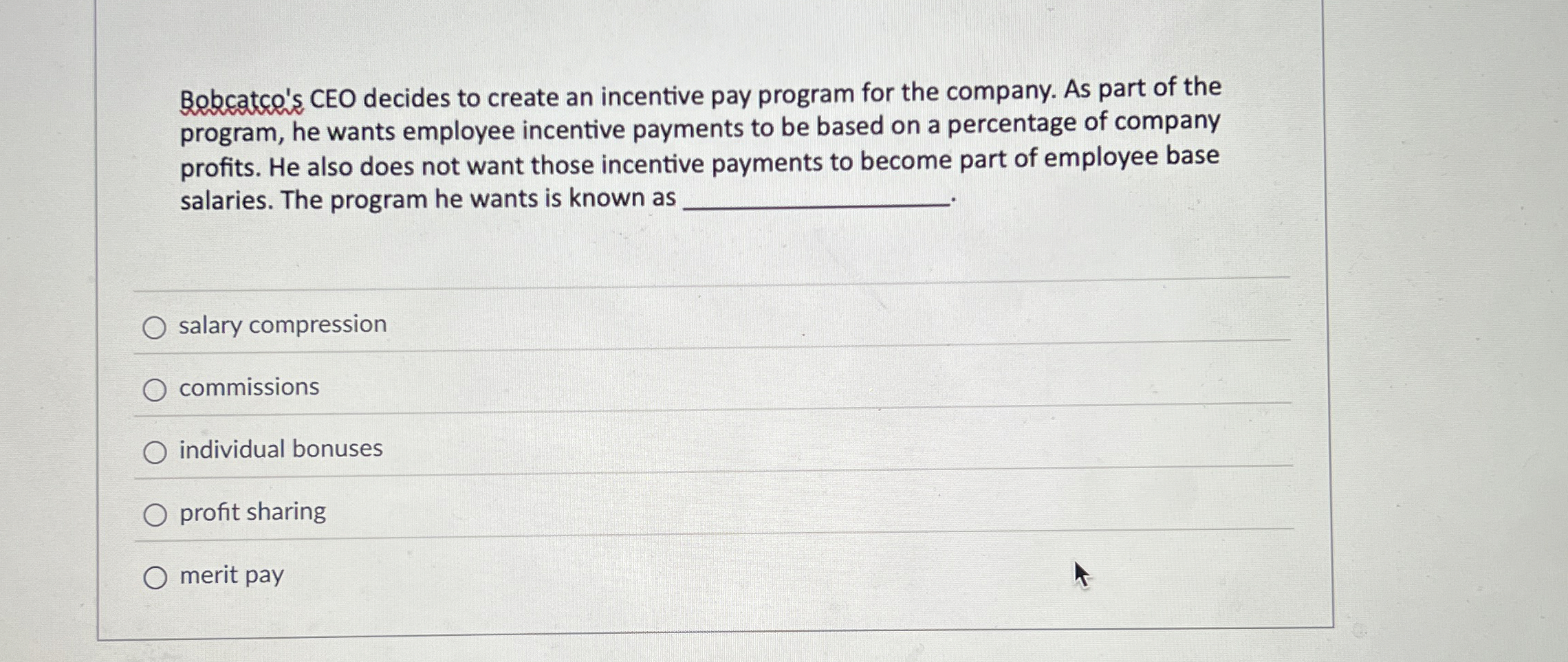  Bobcatco's CEO decides to create an incentive pay program for the