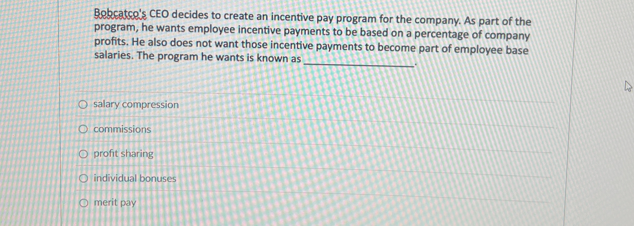  Bobcatco's CEO decides to create an incentive pay program for the