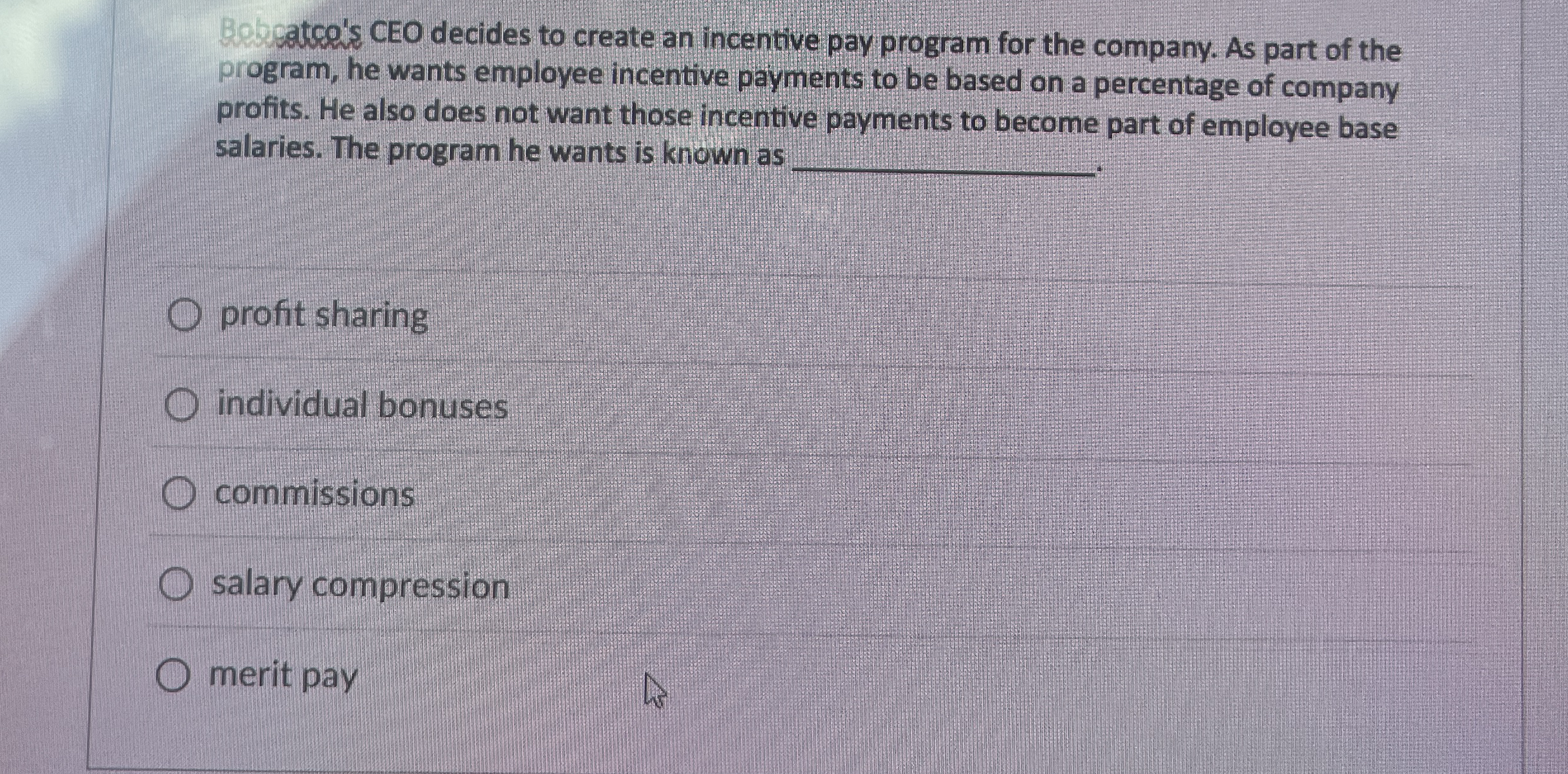  Bebeatch's CEO decides to create an incentive pay program for the