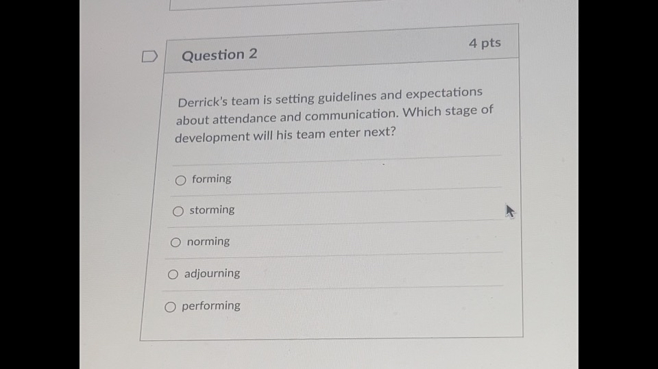  Question 2 4 pts Derrick's team is setting guidelines and expectations