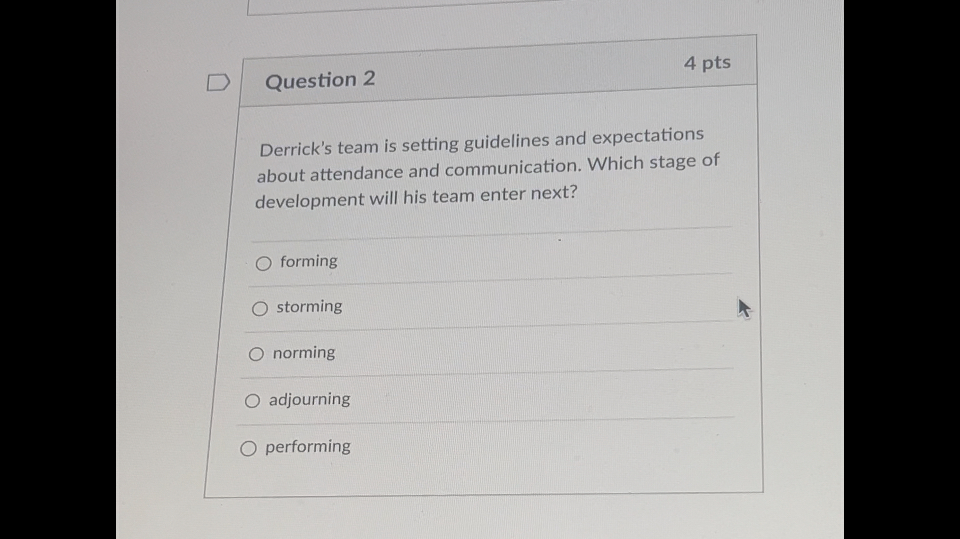  Question 2 4 pts Derrick's team is setting guidelines and expectations