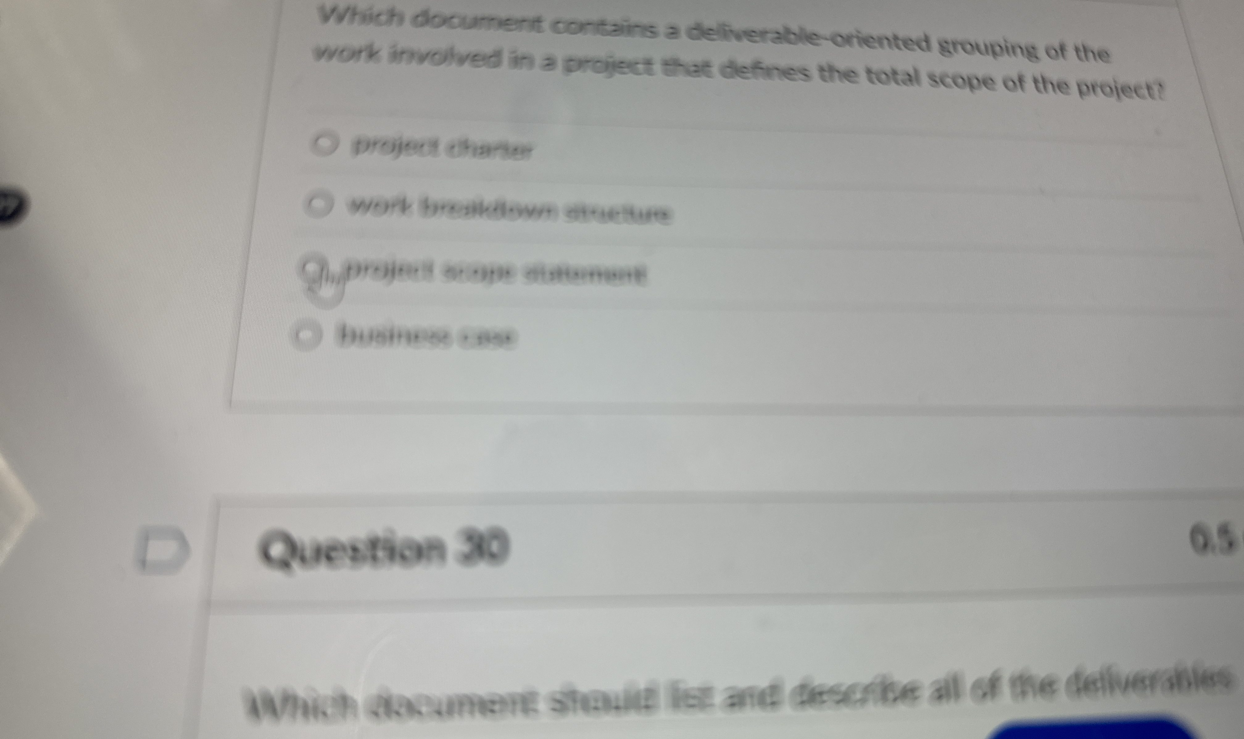  Which document contains a deliverable-oriented grouping of the work involved in