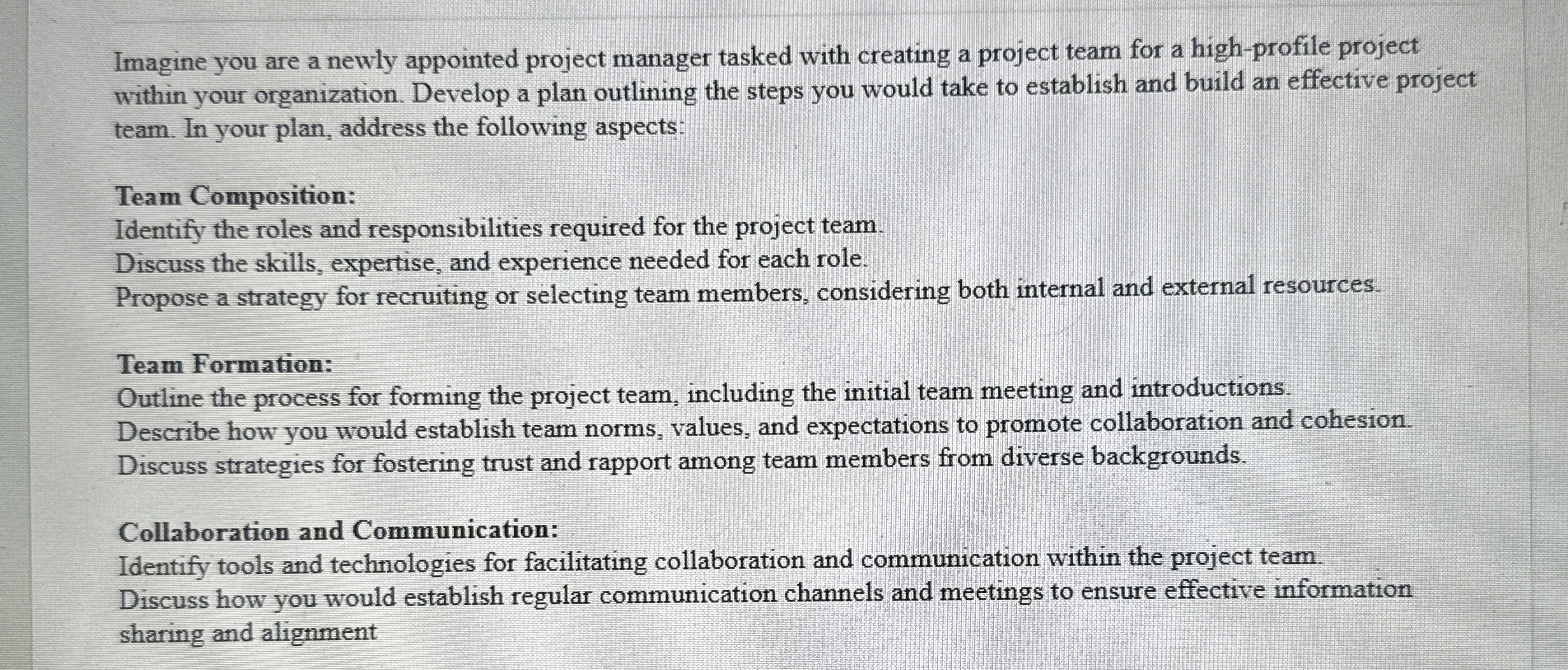  Imagine you are a newly appointed project manager tasked with creating