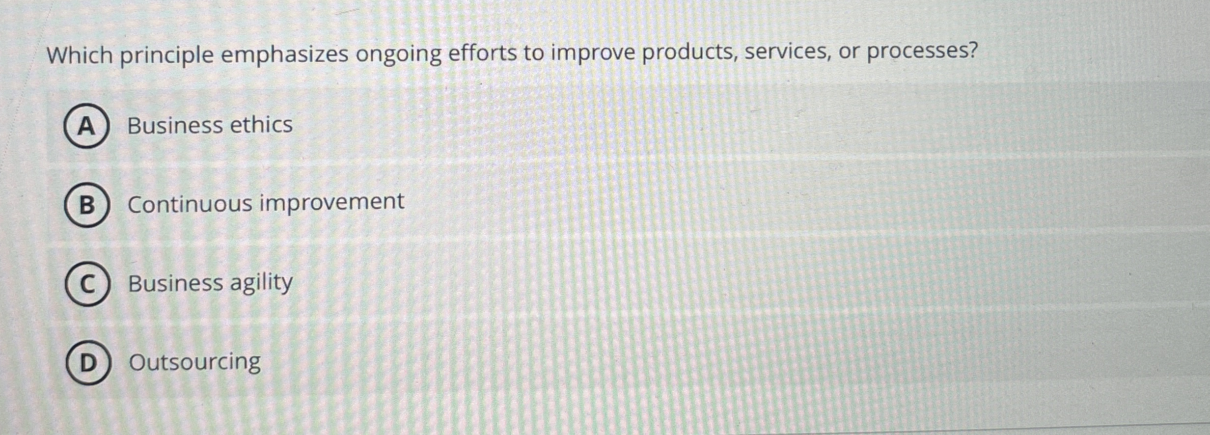  Which principle emphasizes ongoing efforts to improve products, services, or processes?
