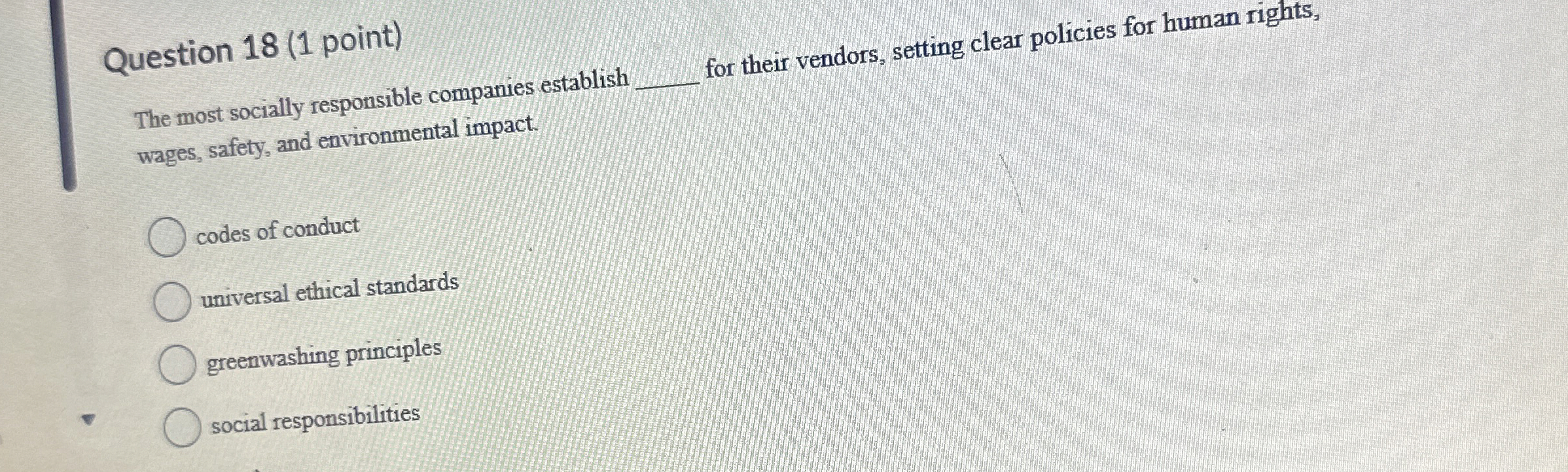  Question 18(1 point) The most socially responsible companies establish for their