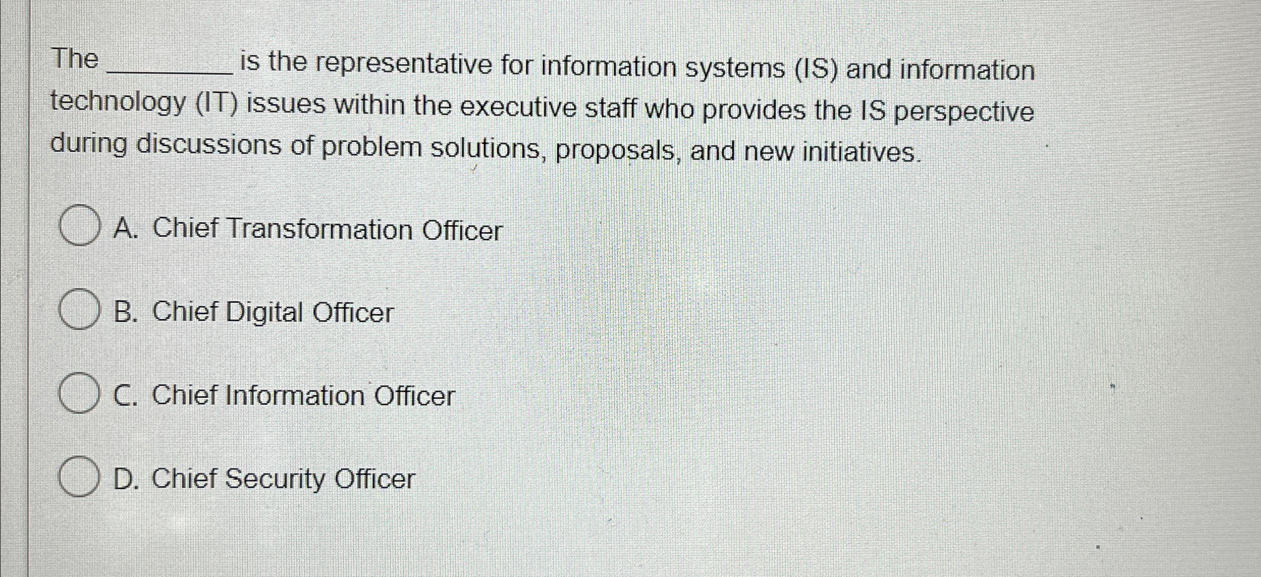  The is the representative for information systems (IS) and information technology