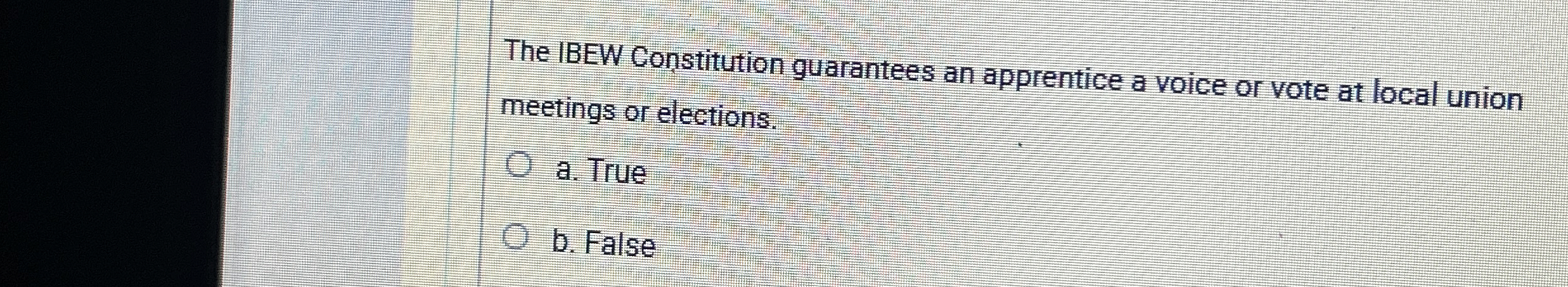  The IBEW Constitution guarantees an apprentice a voice or vote at