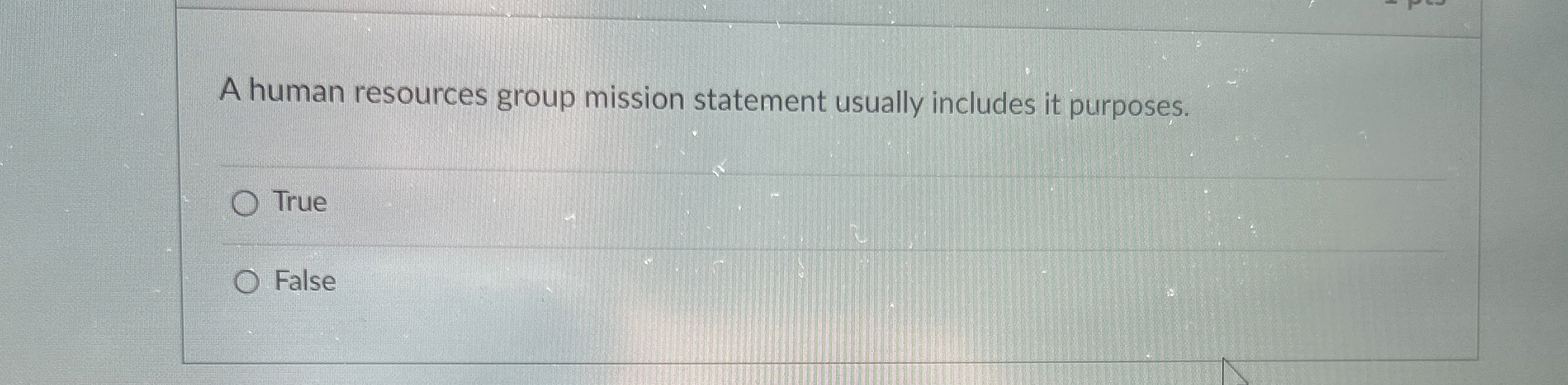  A human resources group mission statement usually includes it purposes. True