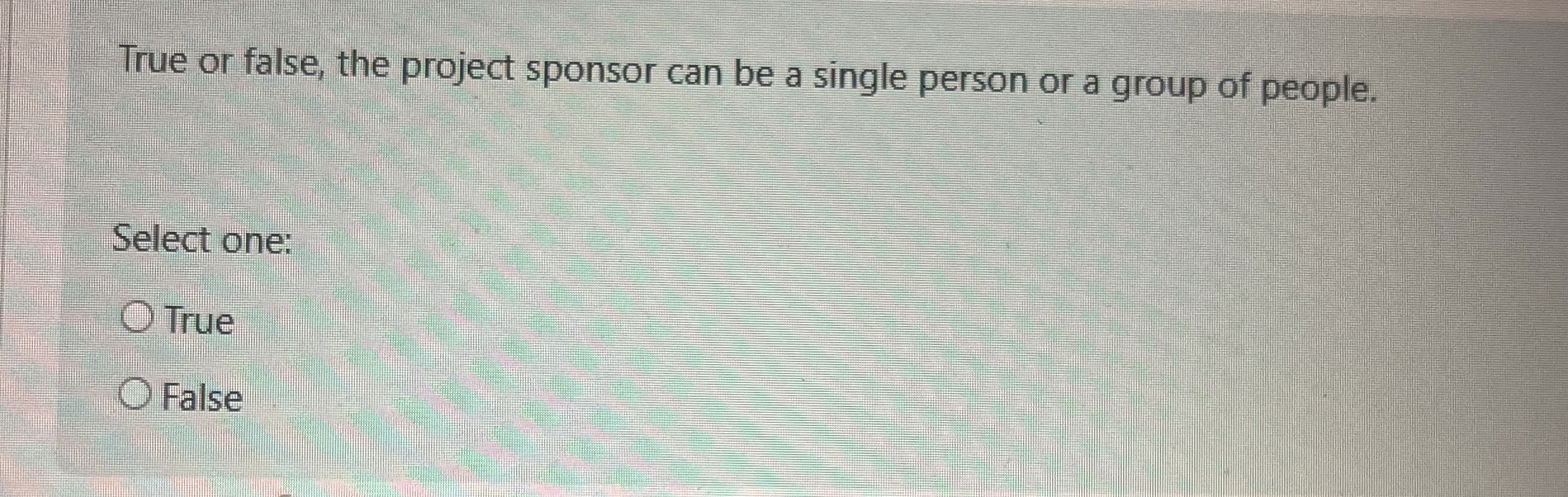  True or false, the project sponsor can be a single person
