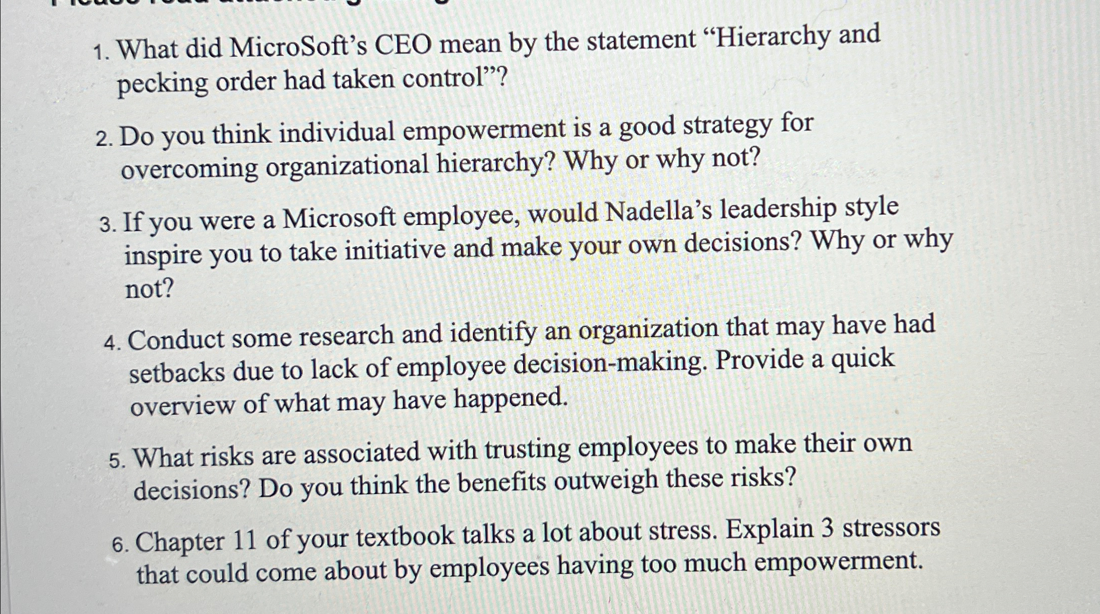  What did MicroSoft's CEO mean by the statement "Hierarchy and pecking