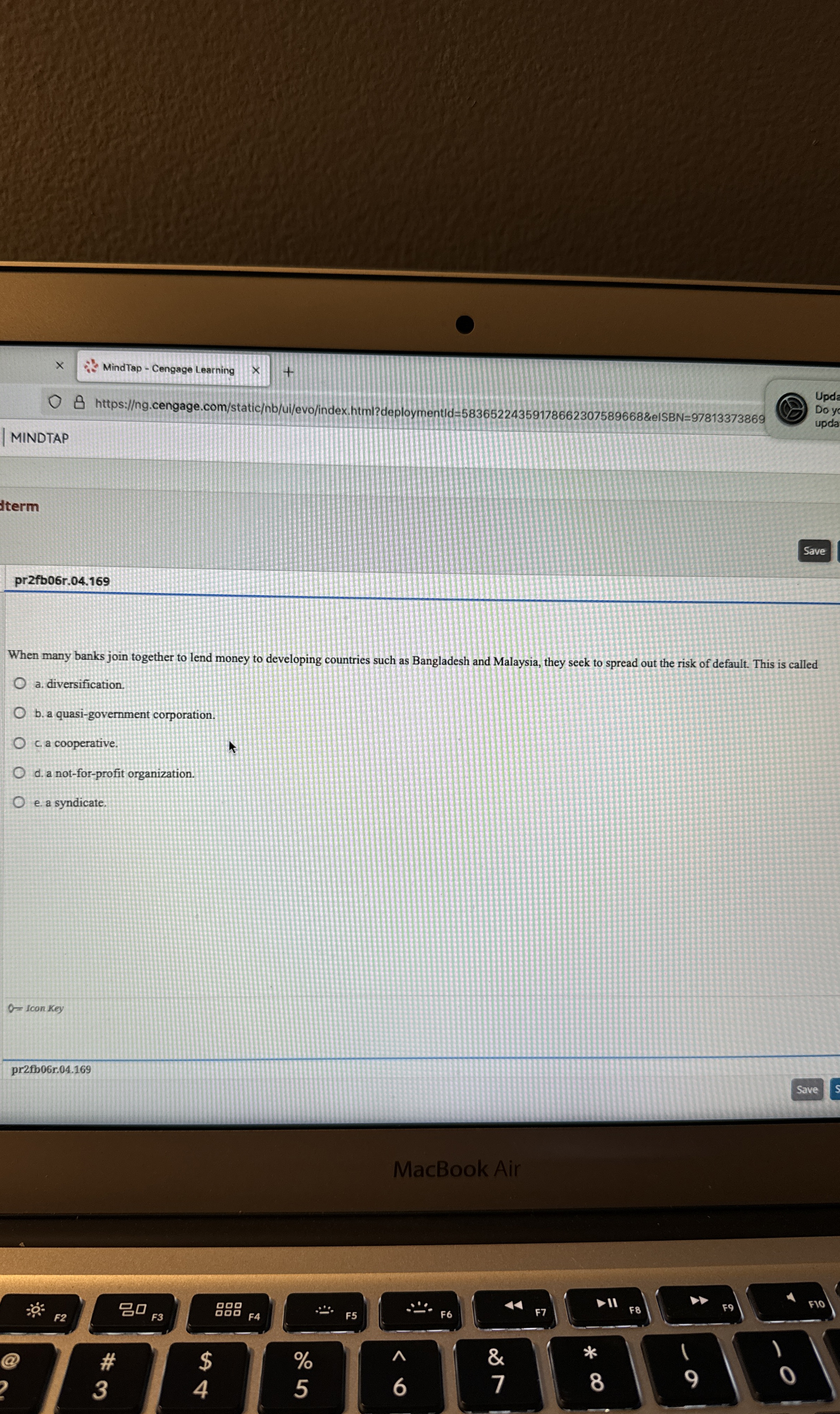  .903,.339, When many banks join together to lend money to developing