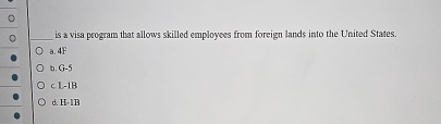  is a visa program that allows skilled employess from foreign lands
