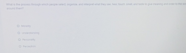  What is the process through which people select, organize, and interpret