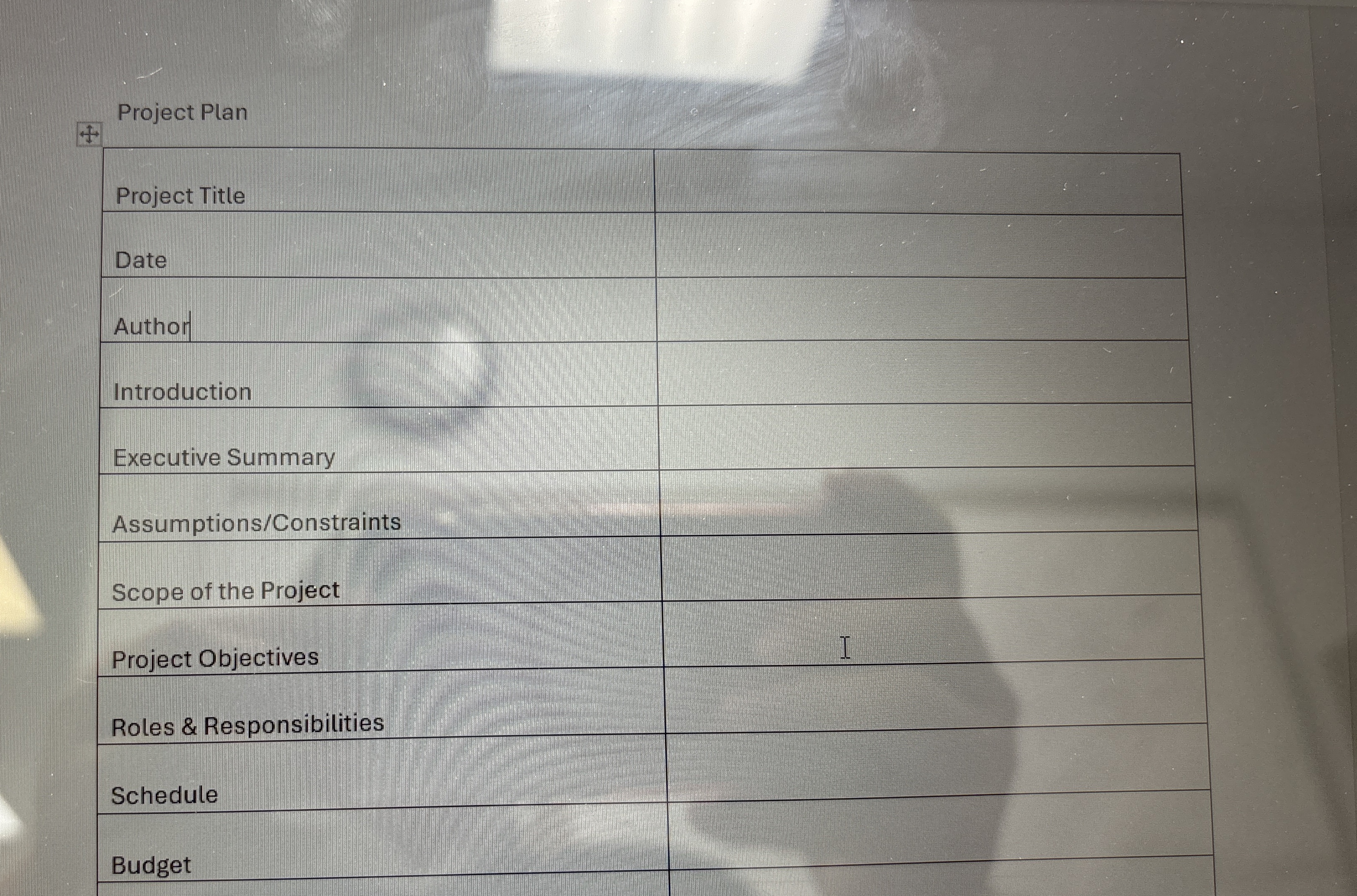  Make a template base on thisProject Plan 