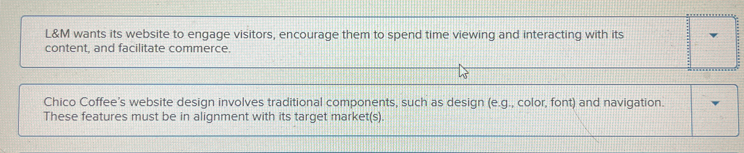 L&M wants its website to engage visitors,