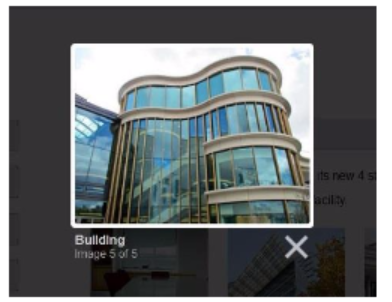 Please use the Lightbox plugin to display a