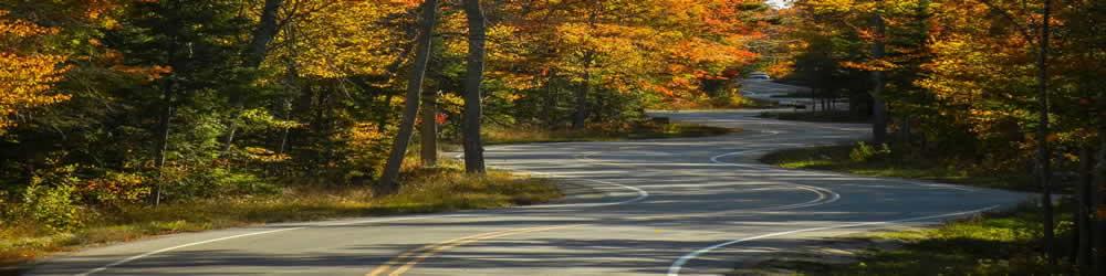 cre can anyone give me the answer for Web