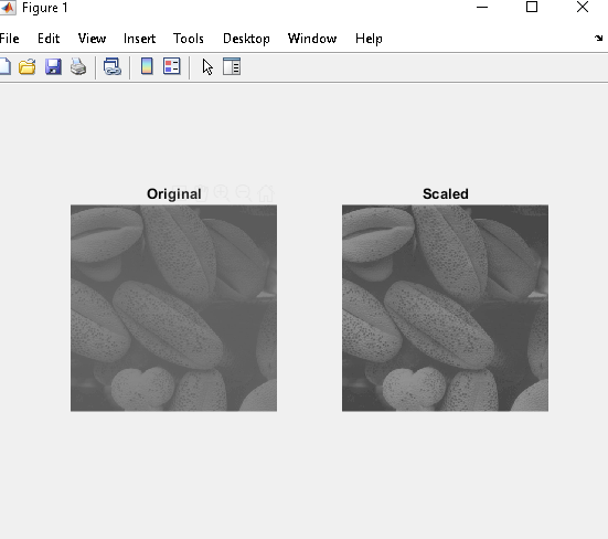 Matlab Fix this code Code: food =
