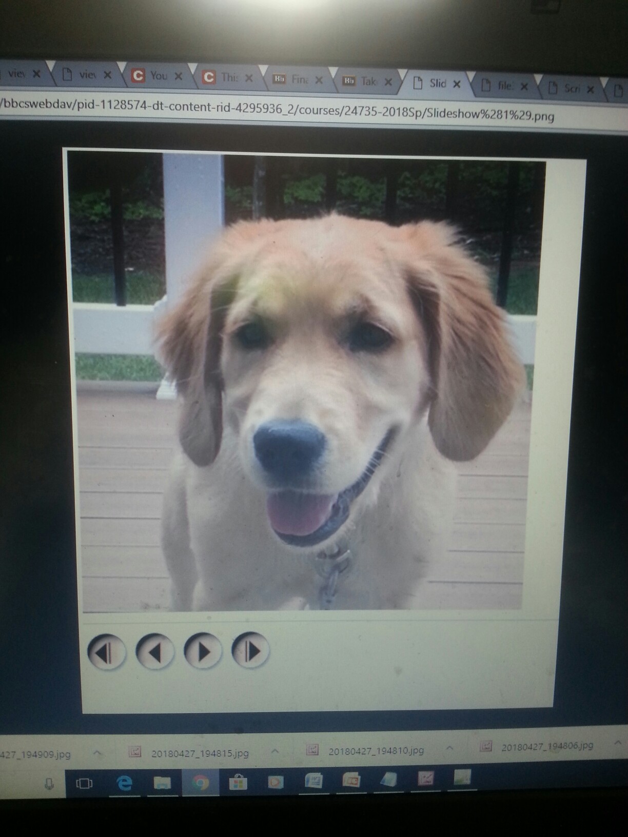 using JavaScript and you can pick any pictures Hh