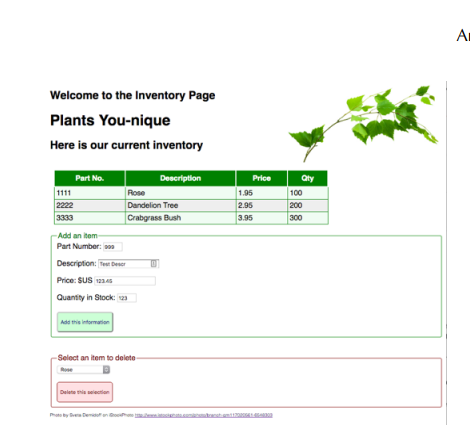 Can you please fix the code so it runs like