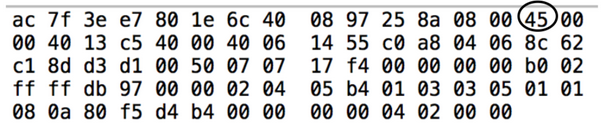 Assuming the IP header starts with the circled