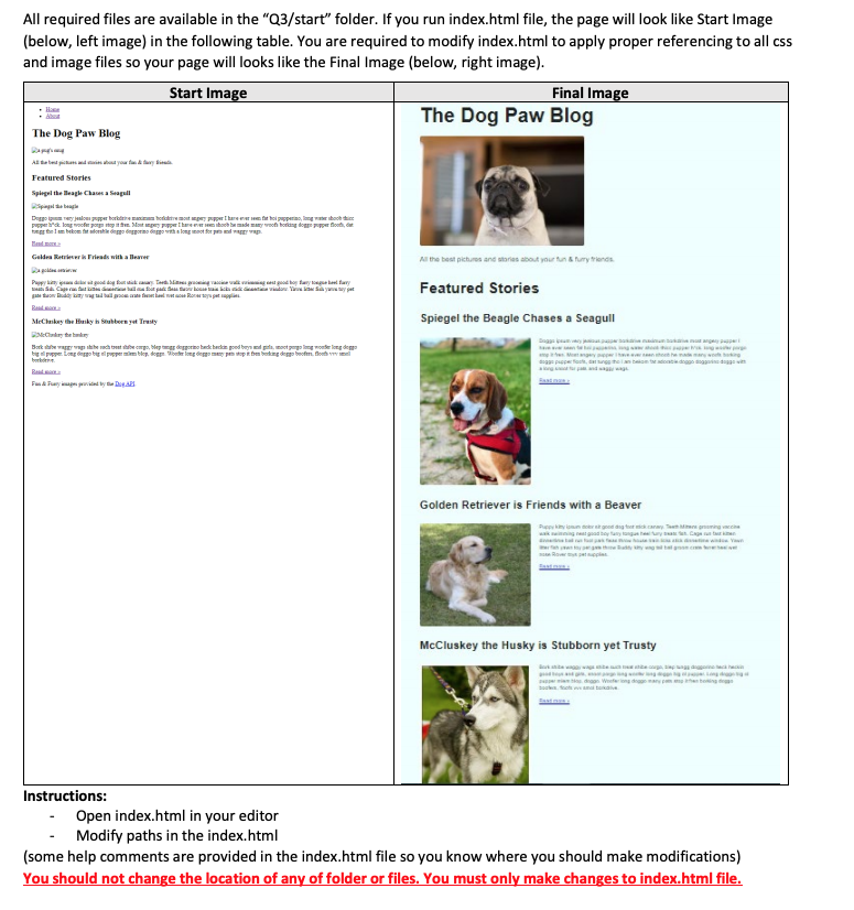 The Dog Paw Blog Home About The Dog Paw Blog All