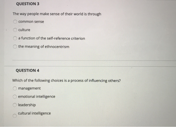 QUESTION 3 The way people make sense of their