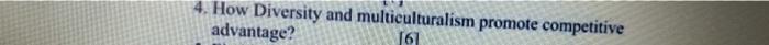 4. How Diversity and multiculturalism promote