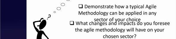 Demonstrate how a typical Agile Methodology can