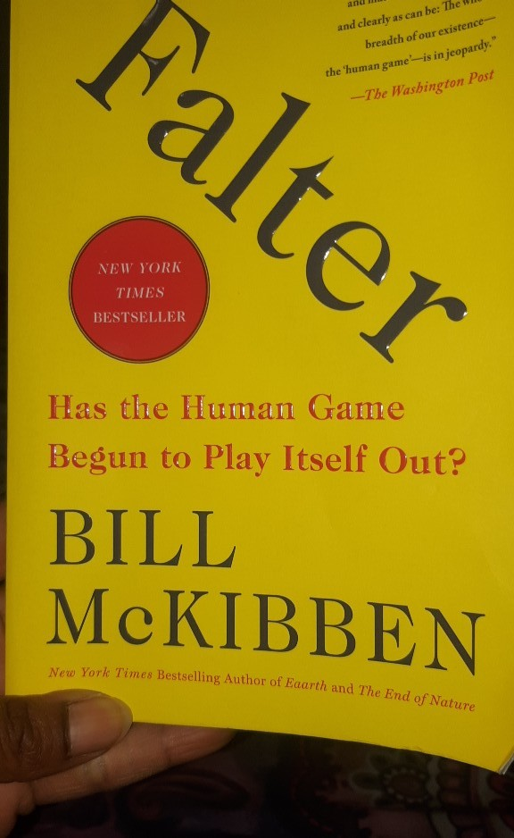 what are the two strategies that bill mckibben