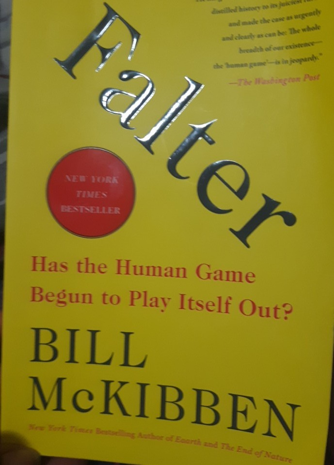 what are the two strategies that bill mckibben