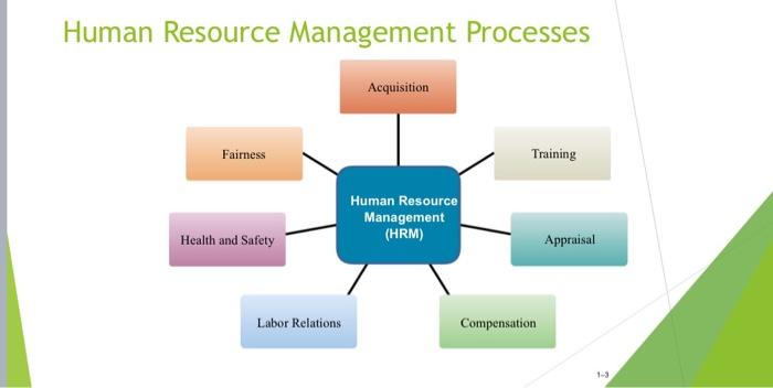 Explain the HRM process steps in your own words