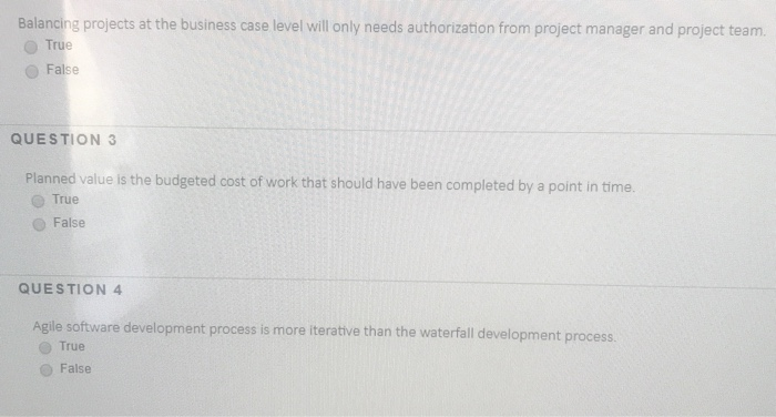 Balancing projects at the business case level