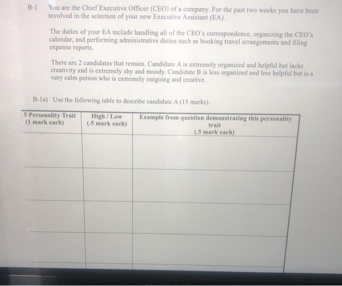 B-1 You are the Chief Executive Officer (CEO) of