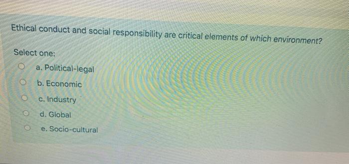 (FUNDAMENTALS OF BUSINESS IN CANADA) Ethical