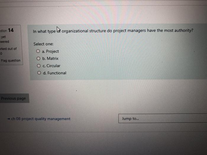 In what type organizational structure do project