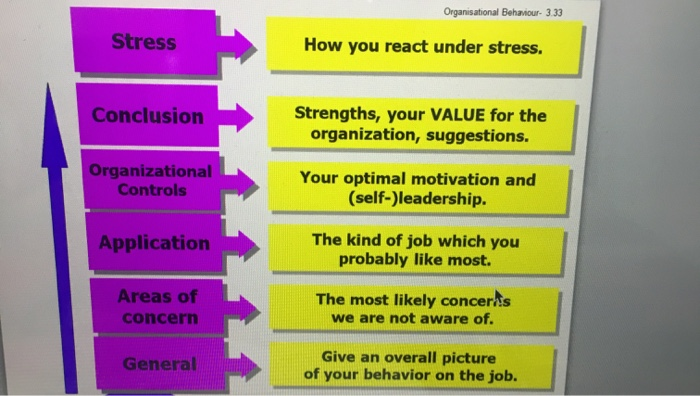 Write an Individual Profile Report base on the