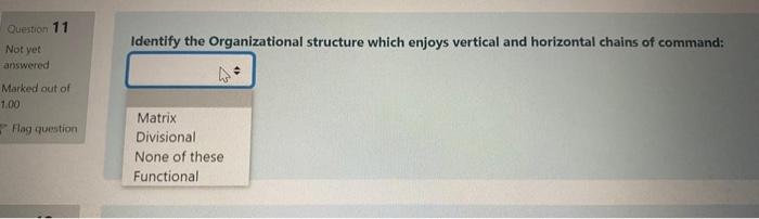Identify the Organizational structure which