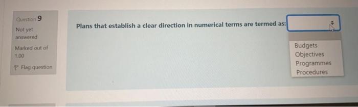 Question 9 4 Plans that establish a clear