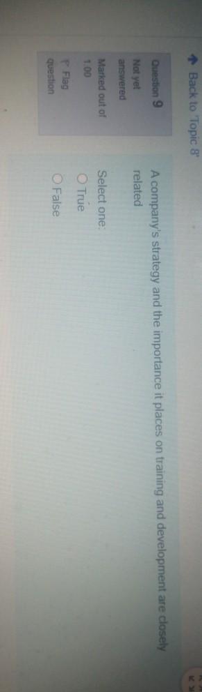 + Back to Topic 8 Question 9 A company's strategy