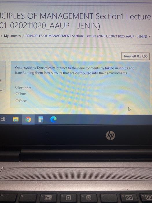 Open systems Dynamically interact to their