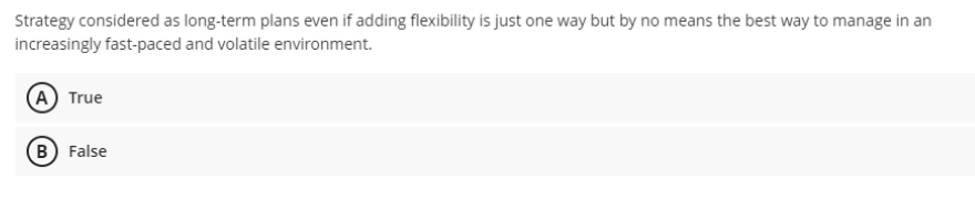 Strategy considered as long-term plans even if