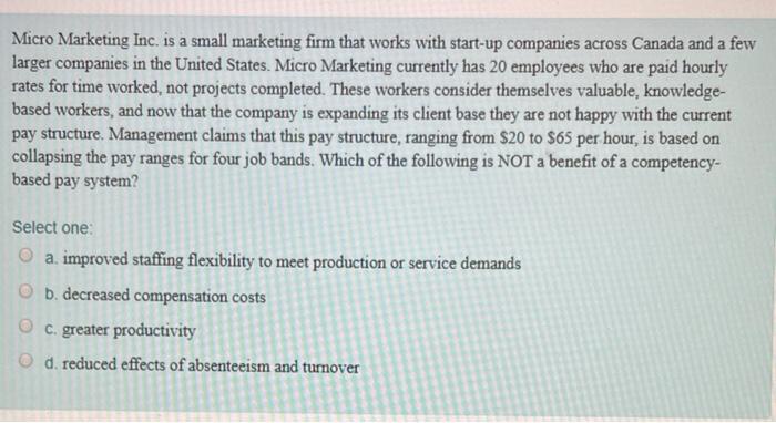 Micro Marketing Inc. is a small marketing firm