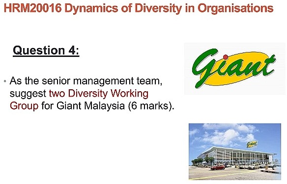 HRM20016 Dynamics of Diversity in Organisations