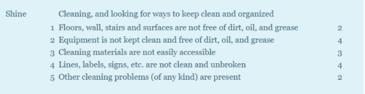 The 5s Audit form, given below, has been prepared