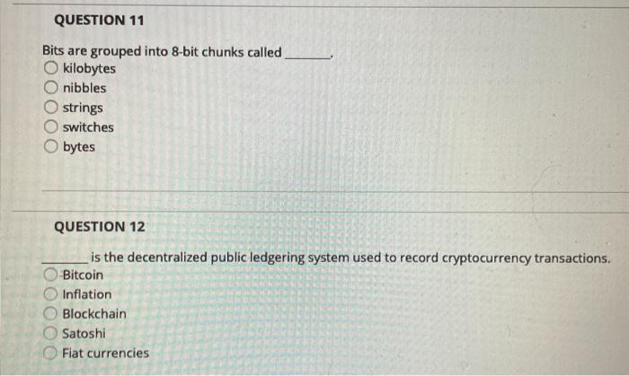 QUESTION 11 Bits are grouped into 8-bit chunks